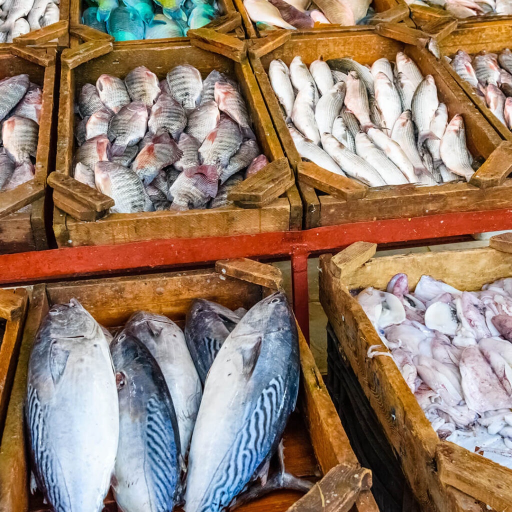 fish at a fish market in Egypt