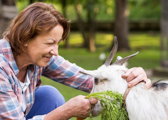 woman feeding a goat